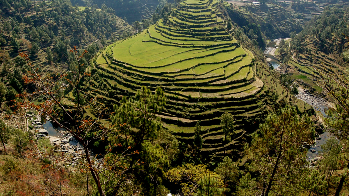 Almora